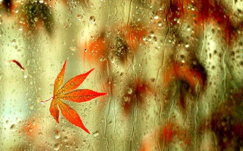 Don’t Fight the Rainstorm